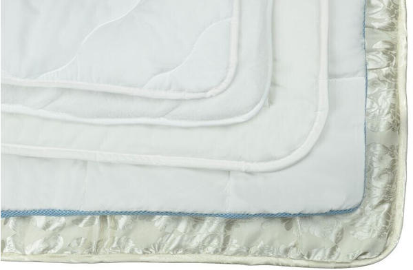 Ribeco Betten-Set silberweiß Ente 200x220 cm weiß normal (6192970583)