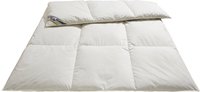 Ribeco Betten-Set silberweiß Ente 200x220 cm weiß warm (6192970609)