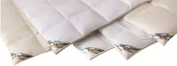 Ribeco Betten-Set silberwei&szlig; Ente 200x220 cm wei&szlig; warm (6192970609)