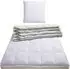 Ribeco Betten-Set silberweiß Ente 200x220 cm weiß warm (6192970609)