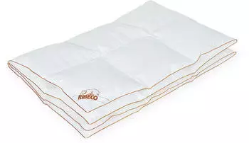 Ribeco Richard silberwei&szlig; Ente 200x200 cm wei&szlig; extrawarm (6192971952)