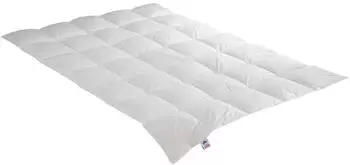 Irisette Entendaunen- federn Steppbett Edda mono 200x200 cm Ganzjahresdecke (3622110154)
