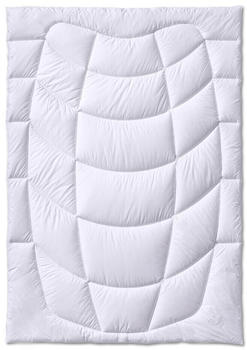 Kauffmann Kamelhaar Steppdecke 200x200 cm leicht (410490)