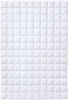 Kauffmann Daunendecke Elegance700 200x200 cm leicht (410203)