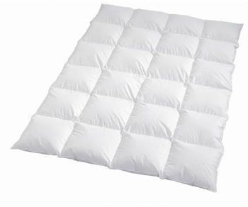 Traumschlaf Daunendecke Diamant extra warm 100% Gänsedaunen 155x220 cm Traumschlaf Daunendecke Diamant extra warm 100% Gänsedaunen 155x220 cm