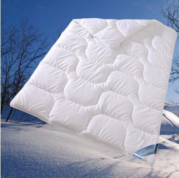 Garanta Extra warme Allergiker Winter DuoSteppbett Baumwollbezug 155x220 95°