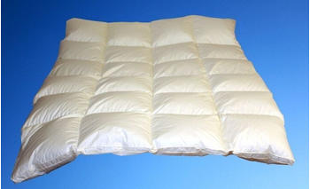 Betten Hofmann White Sibiria Schneegänseflaum Daunendecke mit 4 cm Außensteg 4x6 135x200 cm (38141)