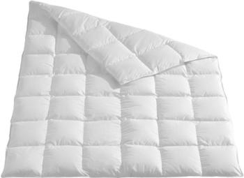 Häussling Daunen Kassettenbett Königstraum medium Daunen 10% Federn 155x220 cm