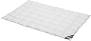 Spessarttraum Daunen Kassettendecke Silber medium 100% Daunen 135x200 cm