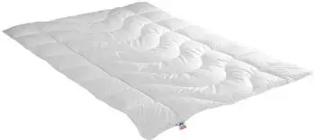 Irisette Ganzjahres Steppbett Lara mono 03 633 760 154 200x200