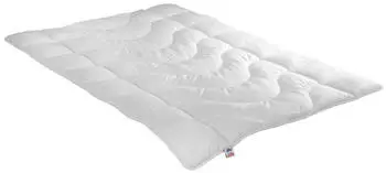 Irisette Hohlfaser Steppbett Lotte Mono 200x200 cm Ganzjahresdecke (3633740154)