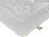 Irisette Greenline Kamelhaar Steppbett ECO Mono leicht 135x200 cm (EH-15307)