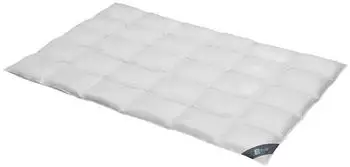 Spessarttraum Daunendecke Blue normal 60% Daunen, 40% Federn 155x220 cm