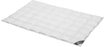 Spessarttraum Daunendecke Blue medium 60% Daunen, 40% Federn 155x220 cm