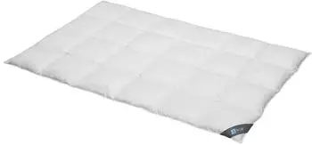 Spessarttraum Daunendecke Blue warm 60% Daunen, 40% Federn 155x220 cm
