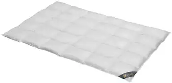 Spessarttraum Daunendecke Bronze normal Daunen 10% Federn 200x220 cm