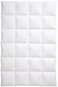 H&auml;ussling Daunen Kassettenbett K&ouml;nigstraum warm, F&uuml;llung 90% Daunen 10% Federn 155x220 cm