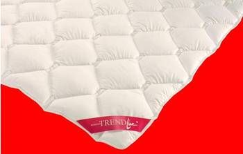 Badenia 85.Badenia Microfaser Steppbett Mono 135x200 cm Polyester (52135)