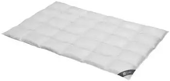 Spessarttraum Daunendecke Platin normal 100% Daunen 200x220 cm