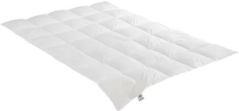 Irisette Daunendecke Emily medium Daunen 10% Federn 135x200 cm Irisette Daunendecke Emily medium Daunen 10% Federn 135x200 cm