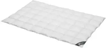 Spessarttraum Daunendecke Platin medium 100% Daunen 200x220 cm