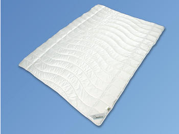 Sympathica Sympathica Microfaser Feinbatist Leicht-Steppbett 155x220 cm Sommerdecke