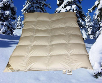 Betten Hofmann Premium 6cm Winter Hochsteg Kassetten Daunendecke 135x200 cm (60685)