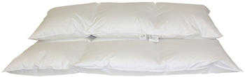 Betten Hofmann Franken 8cm HOCHSTEG Winter155x220 cm 3x4 Gänse