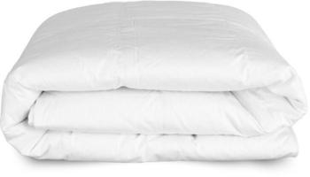 DormiGood Premium Daunendecke Sommerdecke 200x200 cm leicht (200200)