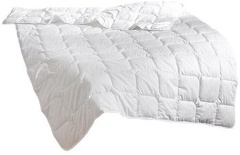 Traumschlaf Faser Sommerdecke Thinsulate 3M 200x220 cm leicht Traumschlaf Faser Sommerdecke Thinsulate 3M 200x220 cm leicht