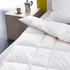 Häussling Daunendecke Select multi low leicht 100 Gänsedaune 155x220 cm