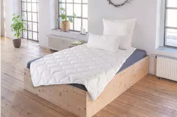 Schiesser Ganzjahres Steppbett Bettdecke Allergiker geeignet 135x200 cm