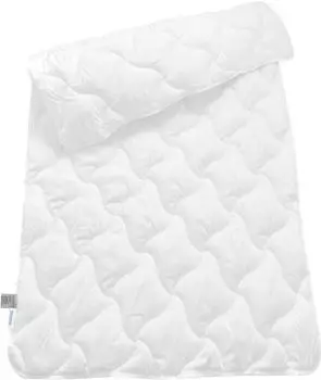 Schiesser Ganzjahres Steppbett Bettdecke Allergiker geeignet 135x200 cm – Perfekte Wahl für Allergiker: Schiesser Ganzjahres Steppbett Bettdecke