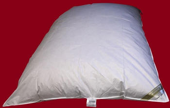 Betten Hofmann Sibiria Ballonbett Oberbett Federbett 135x200 Wildgänse-