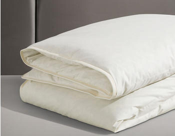 Ribeco Betten-Set Überraschungspaket silberweiß 155X220 cm weiß normal (6192970580)