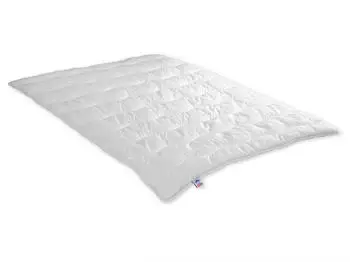 Irisette Microfaser Steppbett Jette - mono 200x200 cm (03 633 720 154)