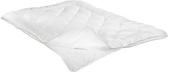 Irisette Vierjahreszeiten-Steppbett Lyocell 200x200 cm (3650080154)