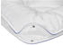 Irisette Vierjahreszeiten-Steppbett Lyocell 200x200 cm (3650080154)
