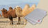 Hefel Pure Camel Ganzjahresdecke light Kamelflaum Kamelhaardecke 250 g/m² 135x200 cm (15547)