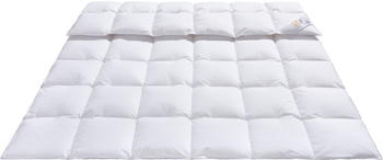OBB Edition 120 Jahre warm 135x200cm