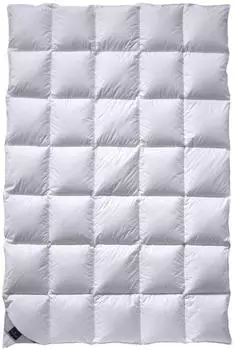billerbeck Ambiente Kassette II Daunendecke 200x200cm