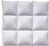 billerbeck Ambiente Kassette II Daunendecke 200x200cm