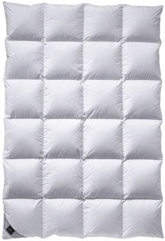 billerbeck Classic Daune 312 Catalina Kassette IV 200x200cm