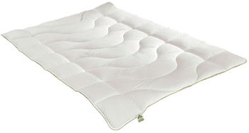 Irisette Greenline Duo-Steppbett Cyclafill ECO 155x220cm Irisette Greenline Duo-Steppbett Cyclafill ECO 155x220cm