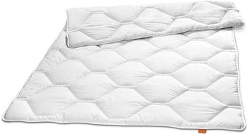 Sleepling Komfort 100 Ganzjahresdecke, Steppbett 135x200 cm allergikergeeignet (19000000072)
