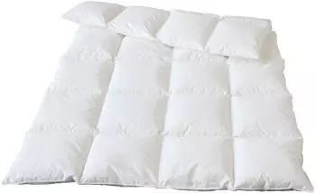 Traumina Daunendecke Bio Plume WK 4 warm 100% G&auml;nsedaunen 135x200 cm