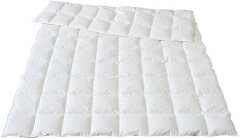 Traumina Bio Daunendecke Plume WK 1 extra leicht 100% Gänsedaunen 155x220 cm
