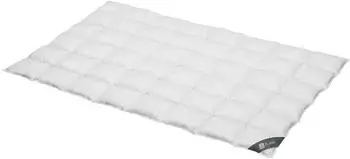 Spessarttraum Daunendecke Platin medium 100% Daunen 200x200 cm