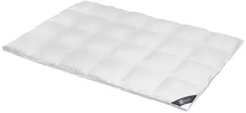 Spessarttraum Daunendecke Platin extra warm 100% Daunen 240x220 cm