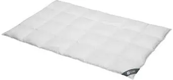 Spessarttraum Daunendecke Silber warm 100% Daunen F&uuml;llung: 100% Daunen 155x220 cm